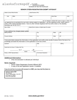 Fill Out Your Alaska 807 Form