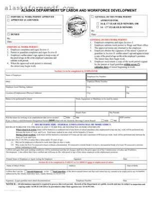 Fill Out Your Alaska Work Permit Form